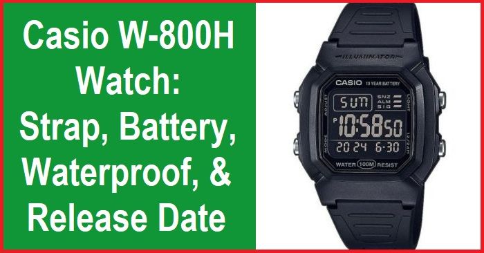 Casio W-800H Watch: Durable Strap, Long-lasting Battery, Waterproof Design, Release Date